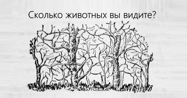 Мириады иллюзий прохождение квеста гвд