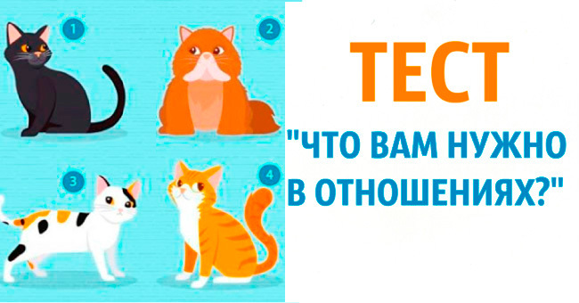 Выберите одну из четырёх кошек и узнайте, какой партнёр сможет сделать вас счастливым