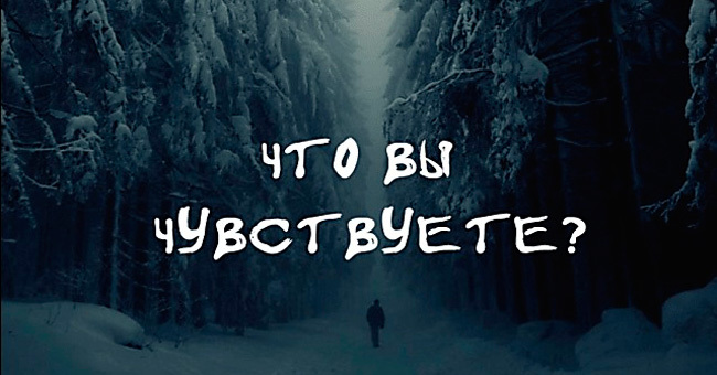 То, что вы почувствуете от этих слов, определит уровень вашего счастья