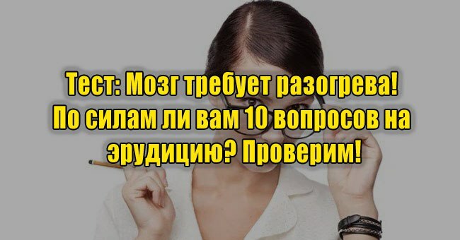 Мозг требует разогрева! По силам ли вам 10 вопросов на эрудицию? Проверим!