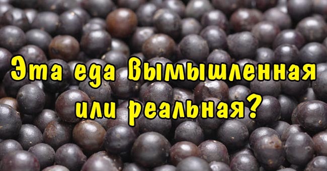 Эта еда вымышленная или реальная?