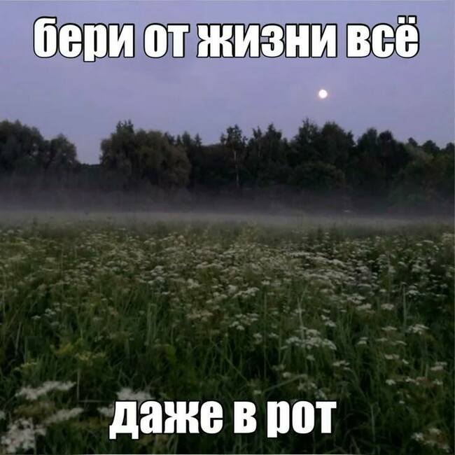 14. Как вы относитесь к своим страхам?