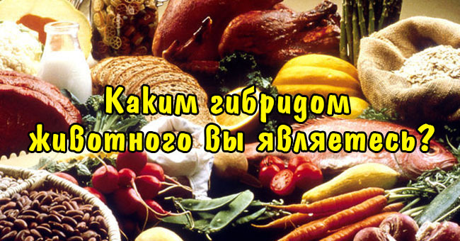 Каким гибридом животного вы являетесь?