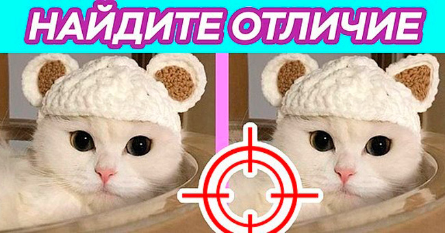 Вы внимательны, как снайпер, если сможете найти все 8 отличий