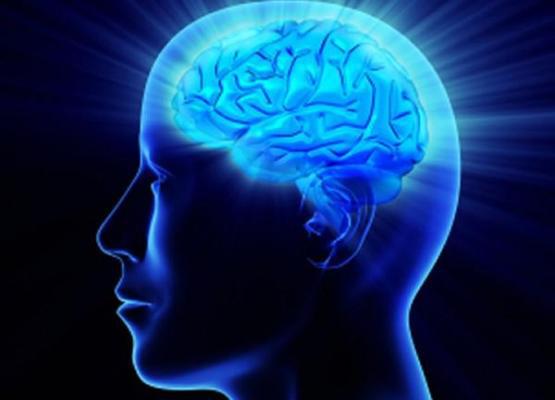 Тест на IQ (Точный и профессиональный)