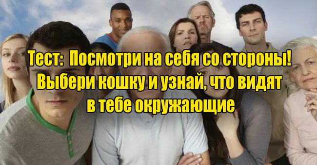 Посмотри на себя со стороны! Выбери кошку и узнай, что видят в тебе окружающие
