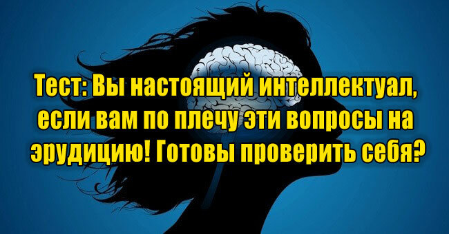 Вы настоящий интеллектуал, если вам по плечу эти вопросы на эрудицию! Готовы проверить себя?
