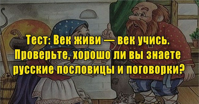 Век живи — век учись. Проверьте, хорошо ли вы знаете русские пословицы и поговорки?