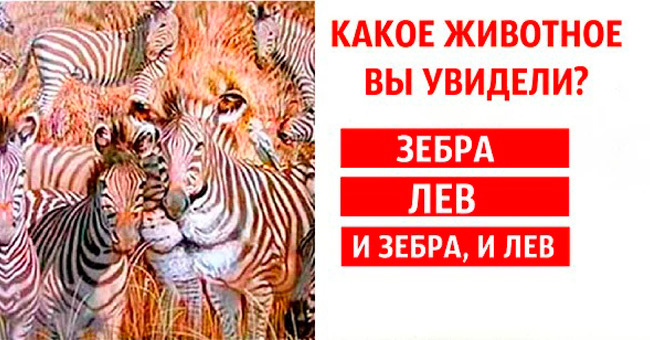 Выберите животное, которое вы увидели в первую очередь, а мы сделаем психологический разбор вашей личности