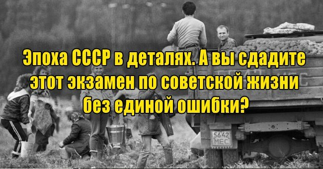 Эпоха СССР в деталях. А вы сдадите этот экзамен по советской жизни без единой ошибки?
