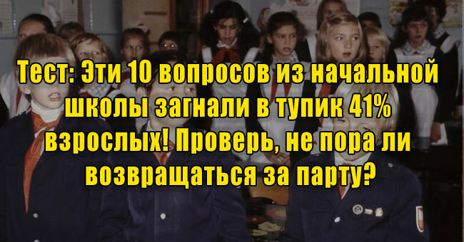 Эти 10 вопросов из начальной школы загнали в тупик 41% взрослых! Проверь, не пора ли возвращаться за парту?