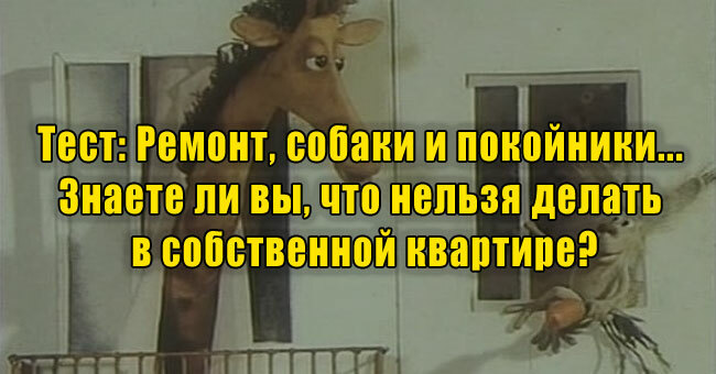 Ремонт, собаки и покойники... Знаете ли вы, что нельзя делать в собственной квартире?