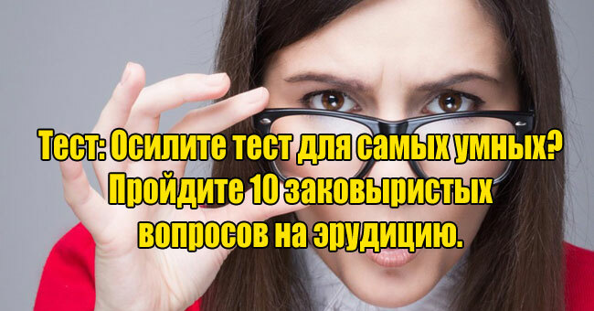 Осилите тест для самых умных? Пройдите 10 заковыристых вопросов на эрудицию. 