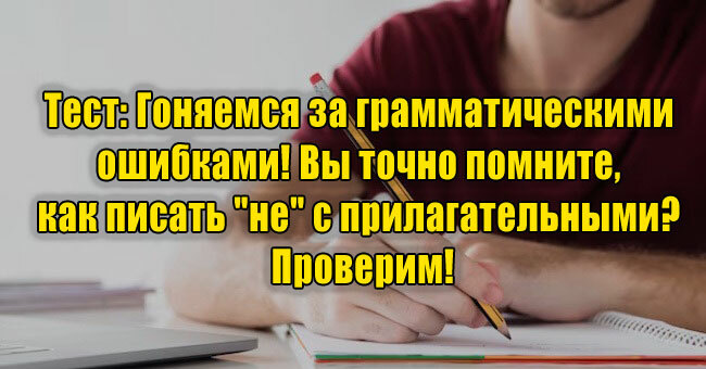 Гоняемся за грамматическими ошибками! Вы точно помните, как писать "не" с прилагательными? 