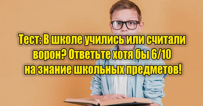 В школе учились или считали ворон? Ответьте хотя бы 6/10 на знание школьных предметов!