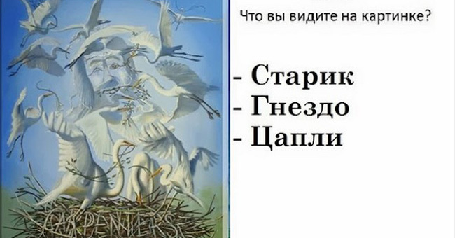 То, что первым вы увидели на картинке вас сильно удивит