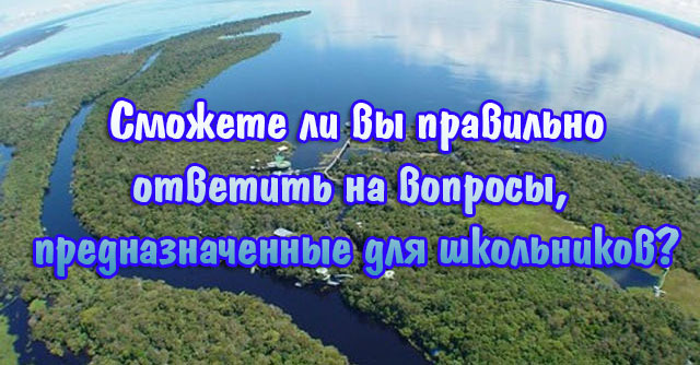 Сможете ли вы правильно ответить на вопросы, предназначенные для школьников?