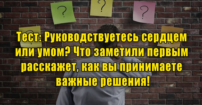 Руководствуетесь сердцем или умом? Что заметили первым расскажет, как вы принимаете важные решения!