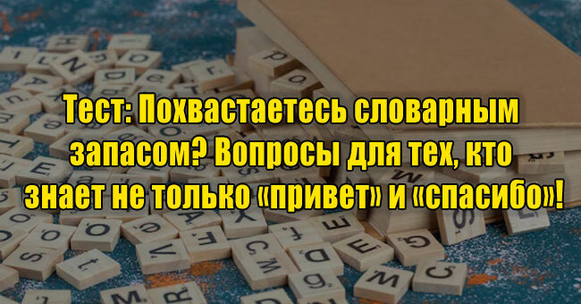 Похвастаетесь словарным запасом? Вопросы для тех, кто знает не только «привет» и «спасибо»!