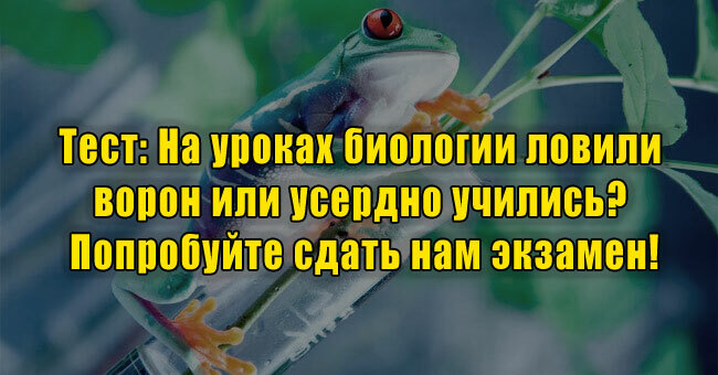 На уроках биологии ловили ворон или усердно учились? Попробуйте сдать нам экзамен!