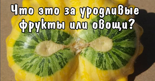 Что это за уродливые фрукты или овощи?