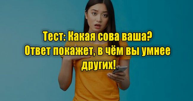 Какая сова ваша? Ответ покажет, в чём вы умнее других!