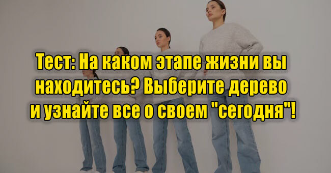 На каком этапе жизни вы находитесь? Выберите дерево и узнайте все о своем "сегодня"!