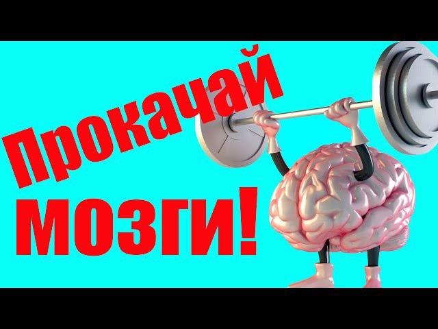 У вас хорошее зрение? Тест на внимательность и на логику. Тест сложный.