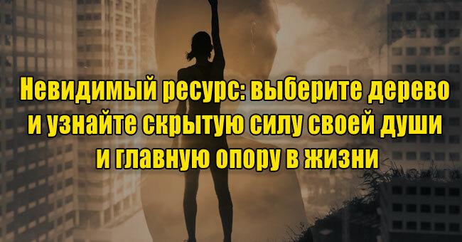 Невидимый ресурс: выберите дерево и узнайте скрытую силу своей души и главную опору в жизни