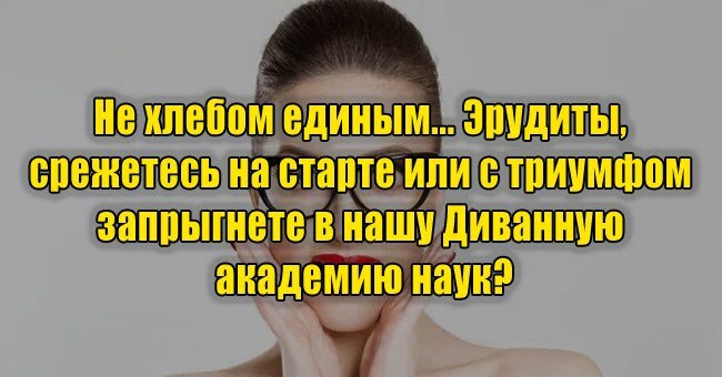 Не хлебом единым... Эрудиты, срежетесь на старте или с триумфом запрыгнете в нашу Диванную академию наук?