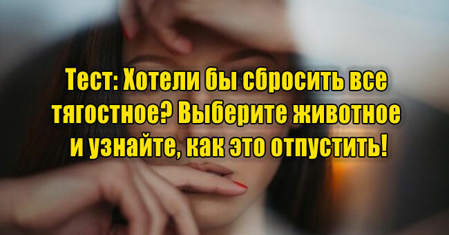 Хотели бы сбросить все тягостное? Выберите животное и узнайте, как это отпустить!