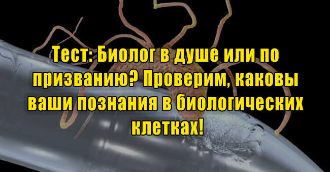 Биолог в душе или по призванию? Проверим, каковы ваши познания в биологических клетках!