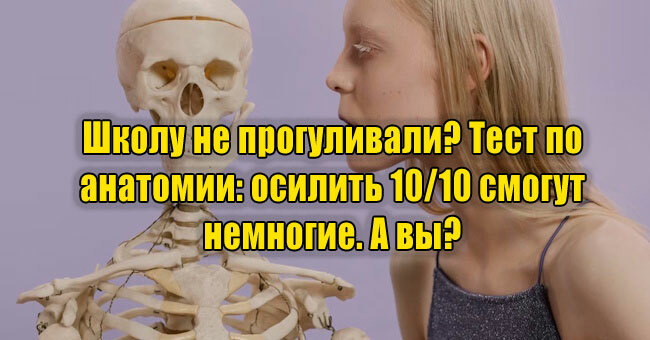 Школу не прогуливали? Тест по анатомии: осилить 10/10 смогут немногие. А вы?