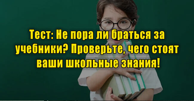 Не пора ли браться за учебники? Проверьте, чего стоят ваши школьные знания!