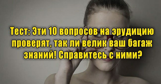 Эти 10 вопросов на эрудицию проверят, так ли велик ваш багаж знаний! Справитесь с ними?