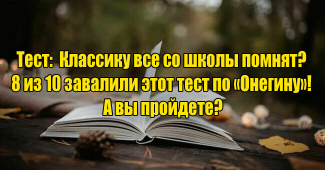 Классику все со школы помнят? 8 из 10 завалили этот тест по «Онегину»! А вы пройдете?