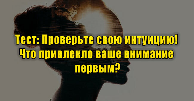 Проверьте свою интуицию! Что привлекло ваше внимание первым?