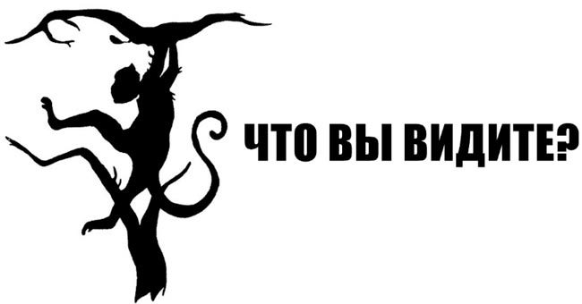 Что вы здесь видите? Есть 2 варианта, и ваш выбор покажет, как устроены ваши мозги