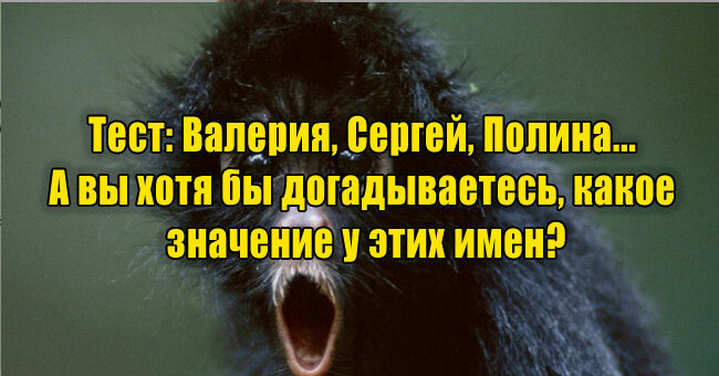 Валерия, Сергей, Полина... А вы хотя бы догадываетесь, какое значение у этих имен?