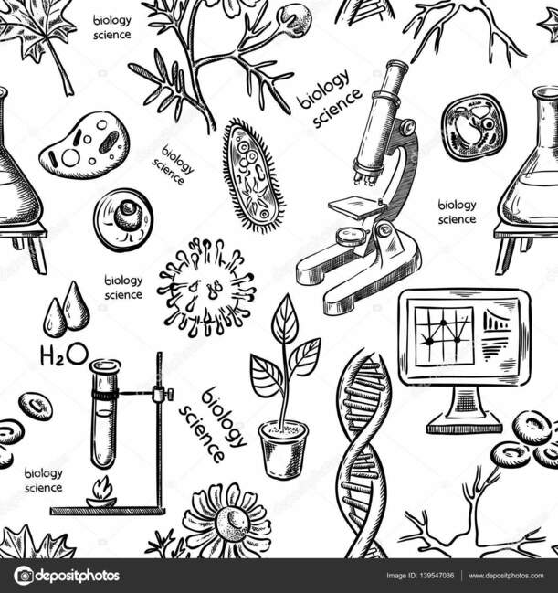Тест - Размножение организмов и его значение / 6 класс