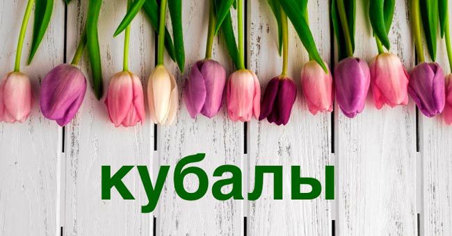 Ваши интеллектуальные способности уникальны, если вы наберете в этом тесте 13/13