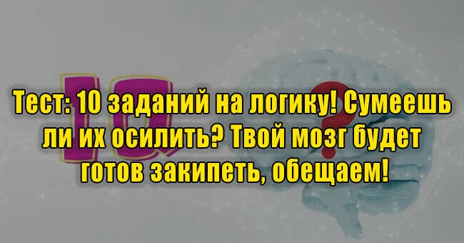 10 заданий на логику! Сумеешь ли их осилить? Твой мозг будет готов закипеть, обещаем!