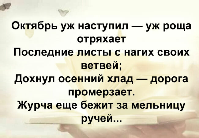 Кто является автором этих строк?
