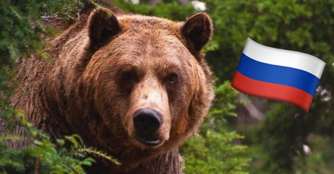 Только 1 житель России из 100 знает русскую природу на 11/11
