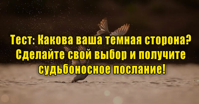 Какова ваша темная сторона?  Сделайте свой выбор и получите  судьбоносное послание!