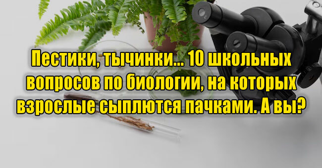 Пестики, тычинки... 10 школьных вопросов по биологии, на которых взрослые сыплются пачками. А вы? 