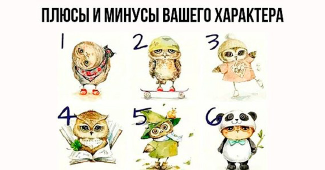 Выберите сову, а мы расскажем, в чем плюсы и минусы вашего характера