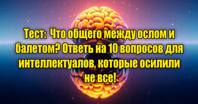 Что общего между ослом и балетом? Ответь на 10 вопросов для интеллектуалов, которые осилили не все!
