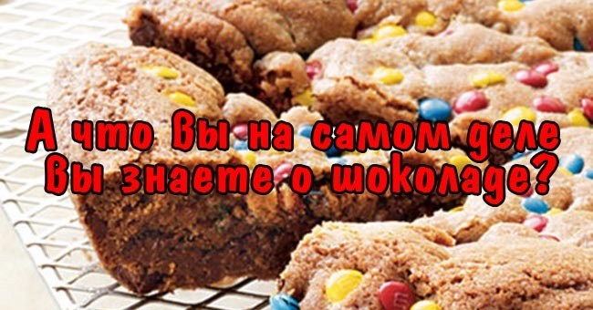 А что вы на самом деле вы знаете о шоколаде?