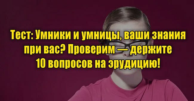 Умники и умницы, ваши знания при вас? Проверим — держите 10 вопросов на эрудицию!